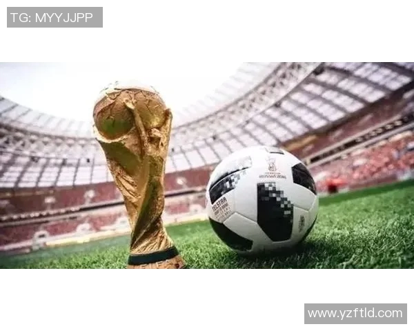 足球明星门帘布遮挡背后的故事与影响解析